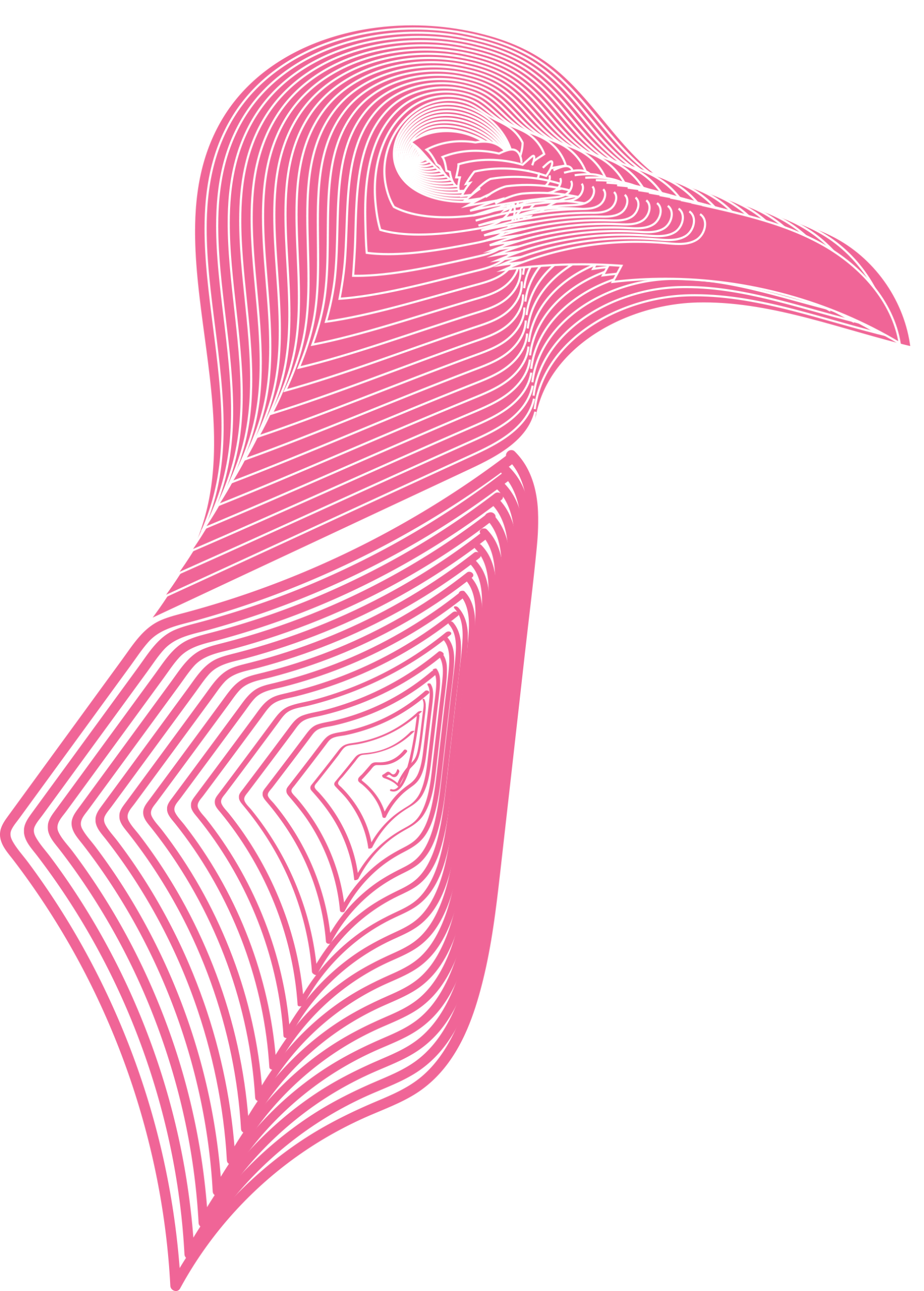 Visual Designer